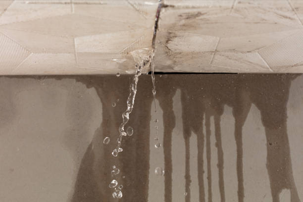 Professional Burst Pipe Cleanup technician working in Mundelein, IL